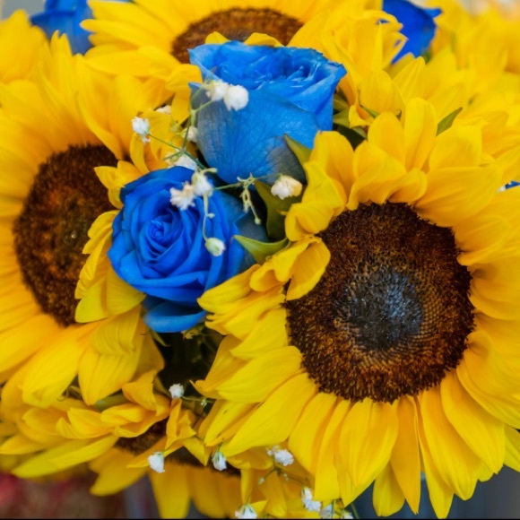 Meet your Posher, Katelyn - Picture 1 of 1